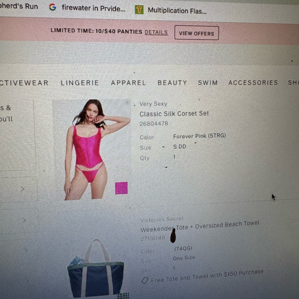 Victoria's Secret Classic Silk Corset Set in Pink